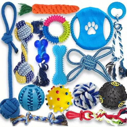 Power Chewer Box