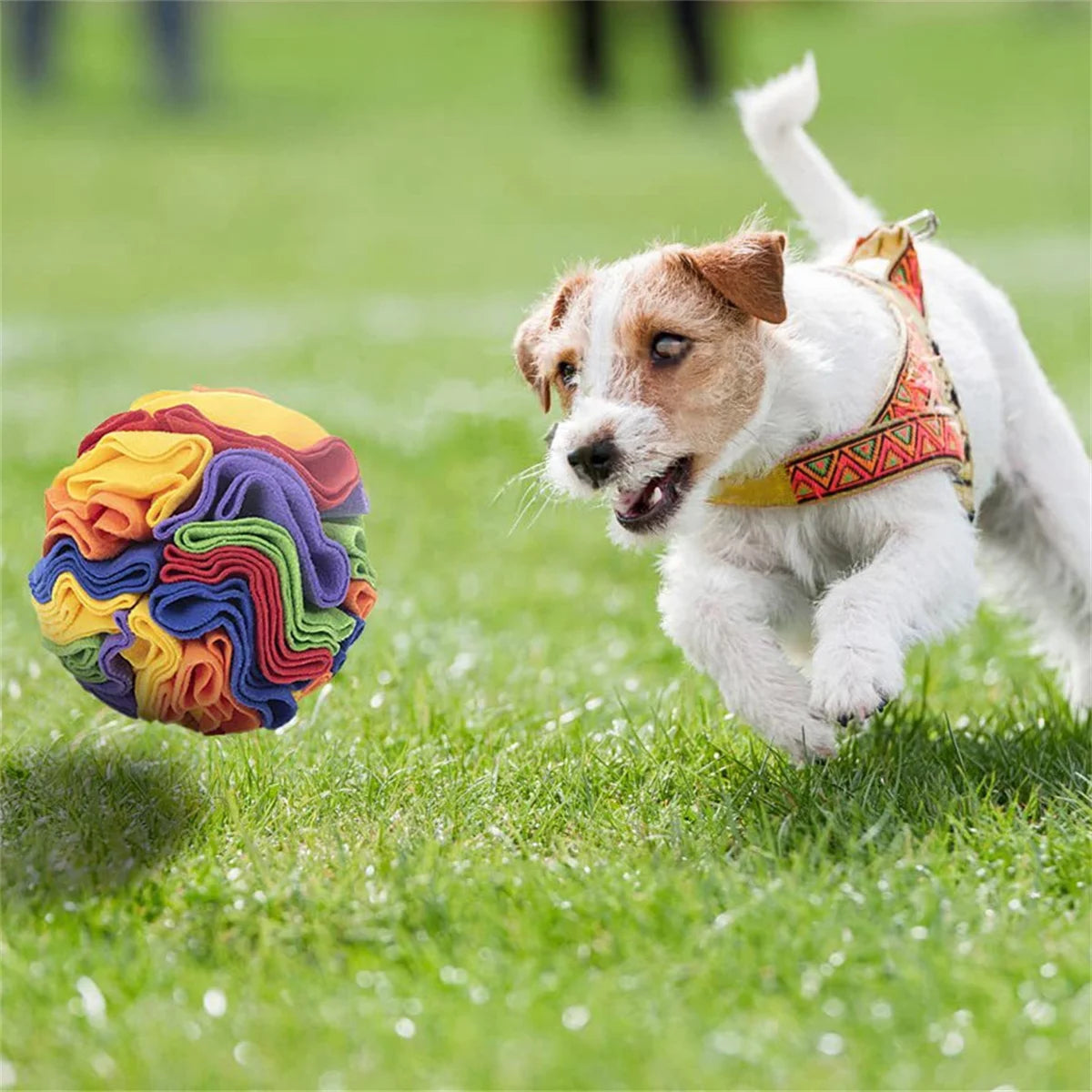 The Snuffle Ball